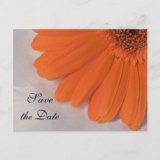 Orange Daisy and White Satin Wedding Save the Date Ankündigungspostkarte (Vorderseite)