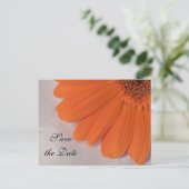 Orange Daisy and White Satin Wedding Save the Date Ankündigungspostkarte (Stehend Vorderseite)