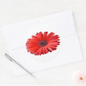 Orange Daisy Aufkleber (Umschlag)