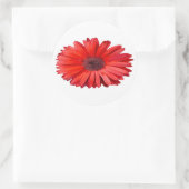 Orange Daisy Aufkleber (Tasche)