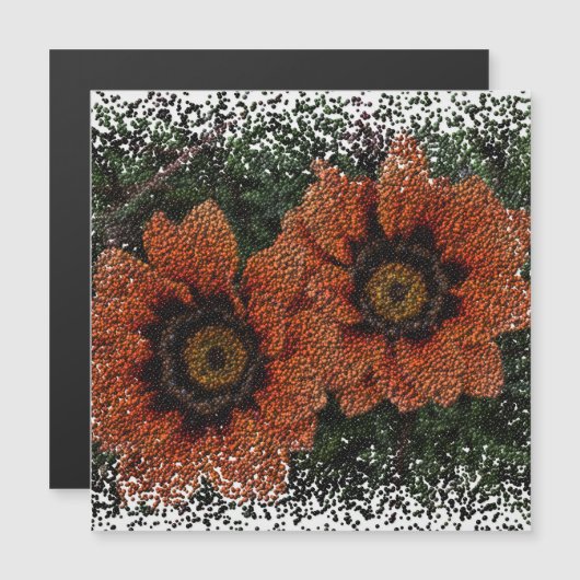Orange Daisy Balls Magnetkarte (Vorne/Hinten)
