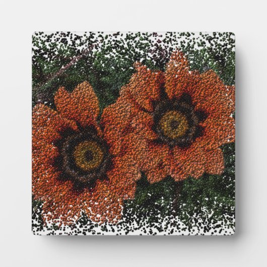Orange Daisy Balls Plaque Fotoplatte (Vorderseite)