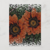 Orange Daisy Balls Postcard Postkarte (Vorderseite)