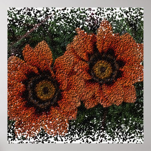 Orange Daisy Balls Poster (Vorne)