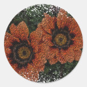 Orange Daisy Balls Stickers (Vorderseite)