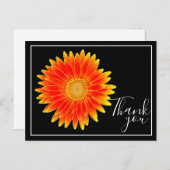 Orange Daisy Blume Black Background Vielen Dank Postkarte (Vorne/Hinten)
