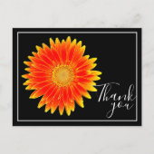 Orange Daisy Blume Black Background Vielen Dank Postkarte (Vorderseite)