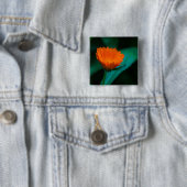 Orange daisy Blume Button (Beispiel)