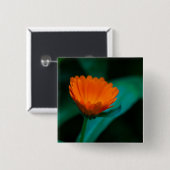 Orange daisy Blume Button (Vorne & Hinten)