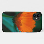 Orange daisy Blume Case-Mate iPhone Hülle (Rückseite (Horizontal))