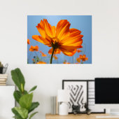 Orange Daisy Blume Floral Art Prints Daisies Poster (Heimbüro)