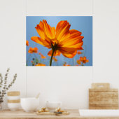 Orange Daisy Blume Floral Art Prints Daisies Poster (Küche)