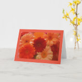 Orange Daisy Blume Foto Gruß oder Mitteilungskarte (Gelbe Blume)