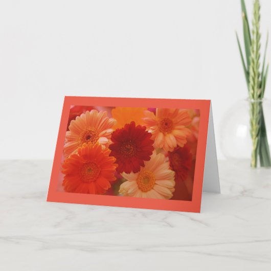 Orange Daisy Blume Foto Gruß oder Mitteilungskarte (Vorderseite)