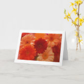 Orange Daisy Blume Foto Hinweis oder Grußkarten Karte (Gelbe Blume)