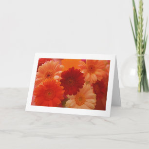 Orange Daisy Blume Foto Hinweis oder Grußkarten Karte