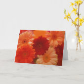 Orange Daisy Blume Foto Note oder Grußkarte Karte (Gelbe Blume)