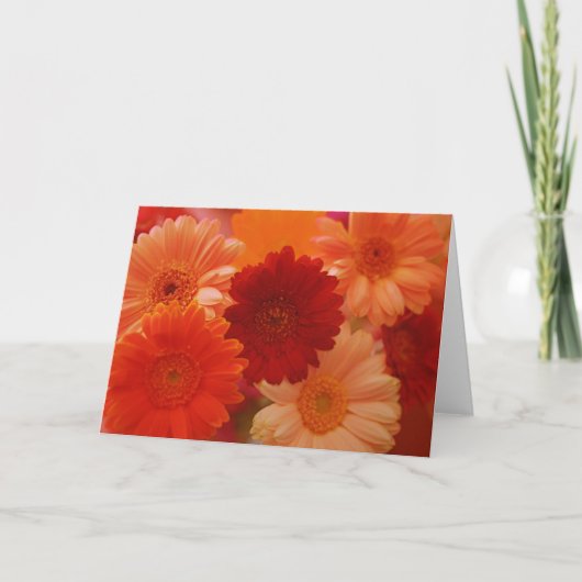 Orange Daisy Blume Foto Note oder Grußkarte Karte (Vorderseite)