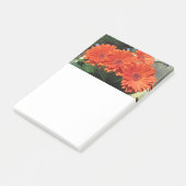 Orange Daisy Blume Foto Post-it Notes Klebezettel (angewinkelt)