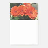 Orange Daisy Blume Foto Post-it Notes Klebezettel (Vorderseite)