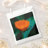 Orange daisy Blume Geschenktütchen (Ausgeschnitten)