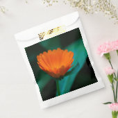 Orange daisy Blume Geschenktütchen (Versiegelt)