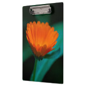 Orange daisy Blume Klemmbrett (Links)