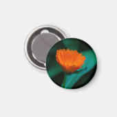 Orange daisy Blume Magnet (Vorderseite/Rückseite)