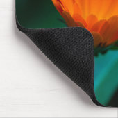 Orange daisy Blume Mousepad (Ecke)