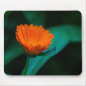 Orange daisy Blume Mousepad (Vorne)
