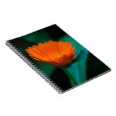Orange daisy Blume Notizblock (Rechte Seite)
