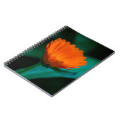 Orange daisy Blume Notizblock (Linke Seite)