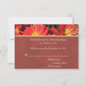 Orange daisy Blume UAWG Hochzeit Einladung (Vorderseite)