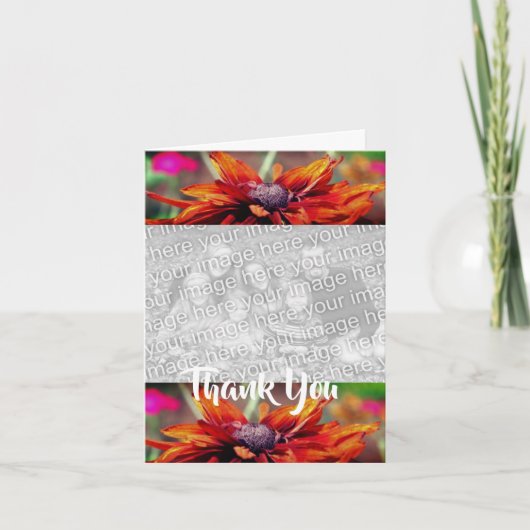 Orange Daisy Blume Vielen Dank für Ihre Fotokarte Dankeskarte (Vorderseite)