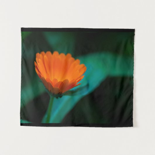 Orange daisy Blume Wandteppich (Vorderseite (Horizontal))