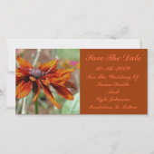 Orange Daisy Blume Wedding Save the Date (Vorderseite)