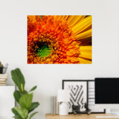 Orange Daisy Canvas Print Poster (Heimbüro)