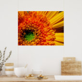 Orange Daisy Canvas Print Poster (Küche)