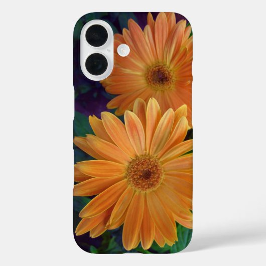 Orange Daisy Case-Mate iPhone Hülle (Rückseite)