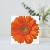 Orange Daisy Einladungen (Stehend Vorderseite)