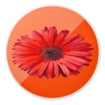 Orange Daisy Farbblock Keramik
