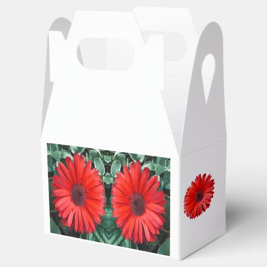 Orange Daisy Favor Box Geschenkschachtel (Geöffnet)