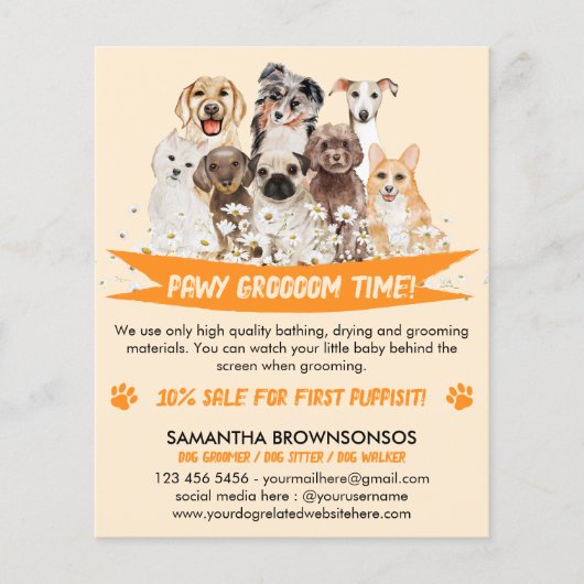Orange Daisy Floral Design for Dog Groomer Flyer (Vorne)