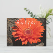 Orange Daisy Floral Foto Dankeskarte (Stehend Vorderseite)