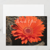Orange Daisy Floral Foto Dankeskarte (Vorne/Hinten)