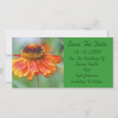 Orange Daisy floral Wedding speichern das Datum Save The Date (Vorderseite)