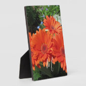 Orange Daisy Foto Monogram Fotoplatte (Seite)