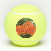 Orange Daisy Foto Tennis Ball (Rückseite)