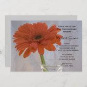 Orange Daisy in Vase Post Wedding Brunch Einladung (Vorne/Hinten)