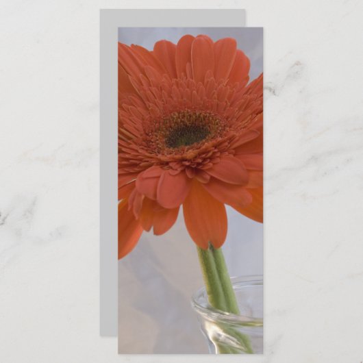 Orange Daisy in Vase Wedding Program Programm (Vorne/Hinten)